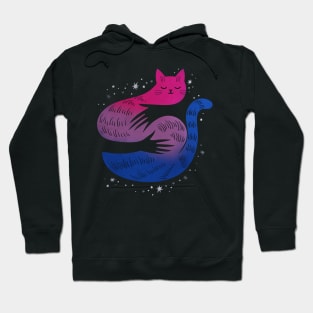 Bisexual Cat Hug LGBT Pride Flag Hoodie